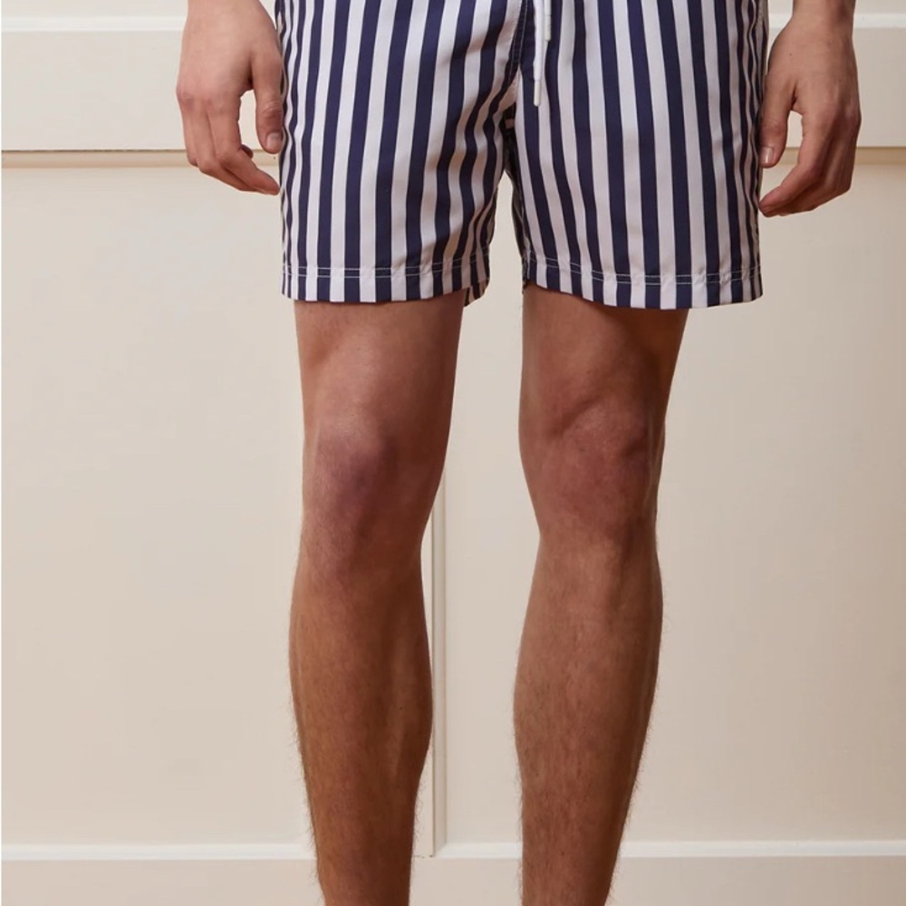 Todd Snyder Navy and White Striped Shorts